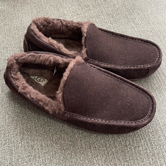 UGG Other - NWOT UGG Ascot Slippers Mens 10 Brown Suede Wool